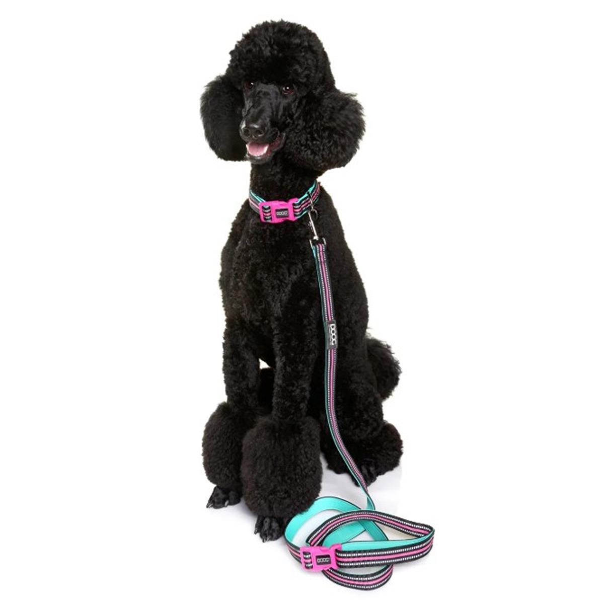 DOOG Clip It Neoprene Dog Leash Rin Tin Tin