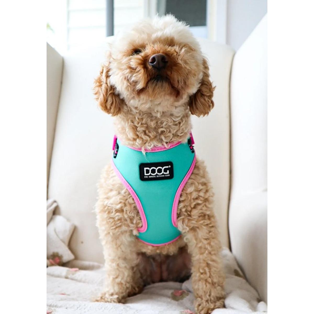 DOOG Neoflex Soft Dog Harness Rin Tin Tin