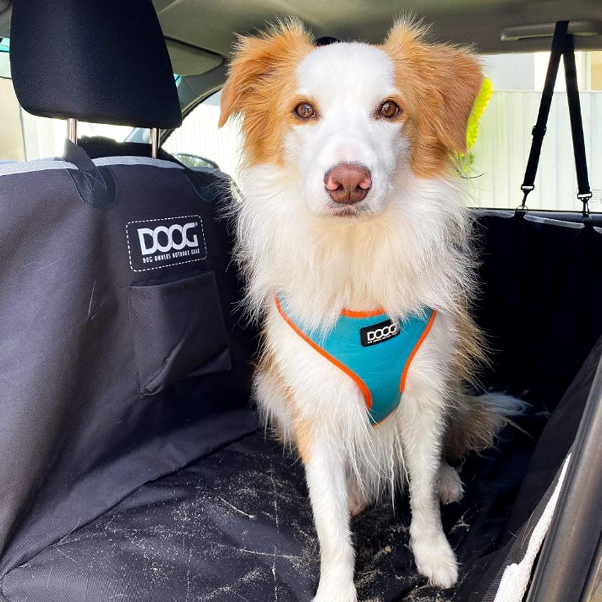 DOOG Neoflex Soft Dog Harness Beethoven