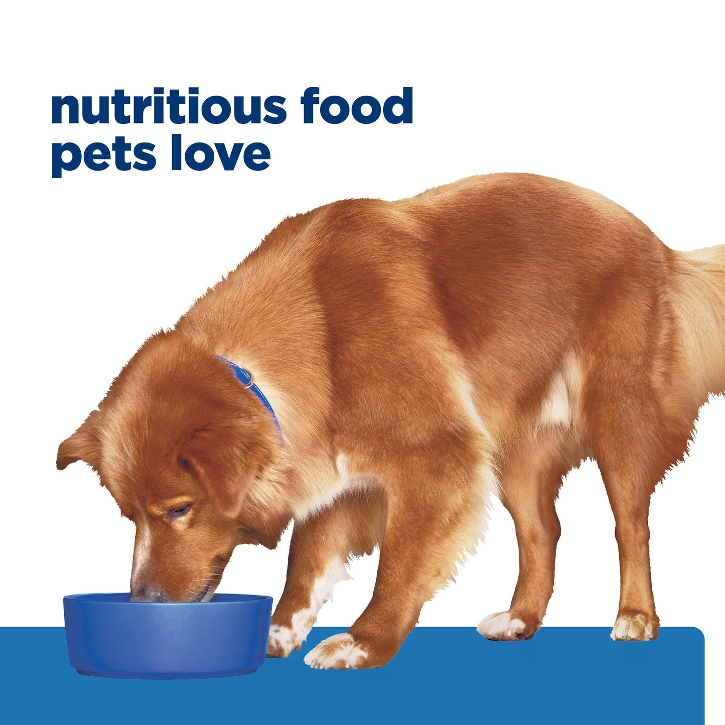 Hill's Prescription Diet Derm Complete Dry Dog Food