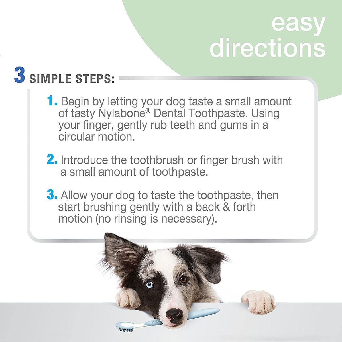 Nylabone Advanced Oral Care Toothpaste Peanut Flavour