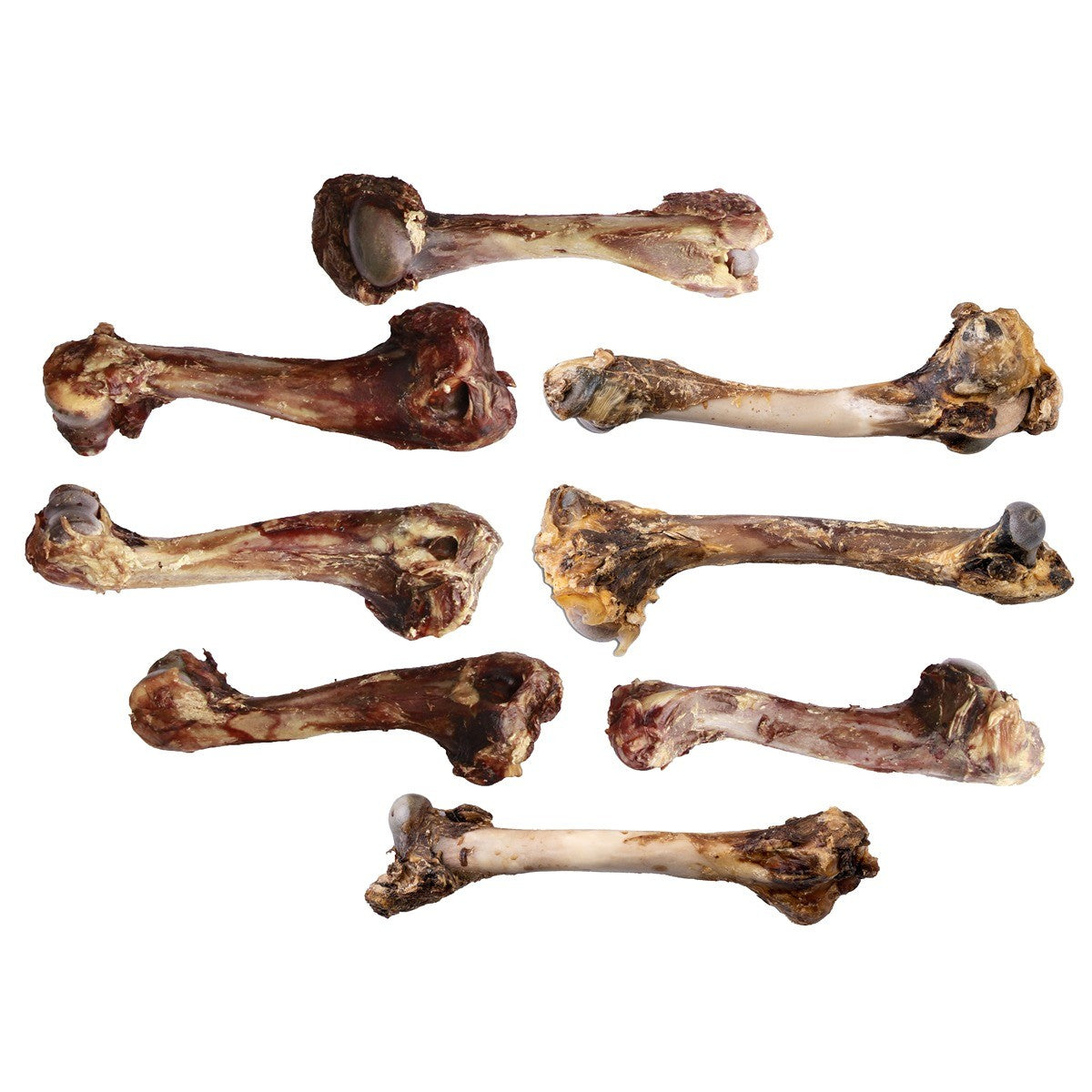 Dried Manuka Giant Venison Bone