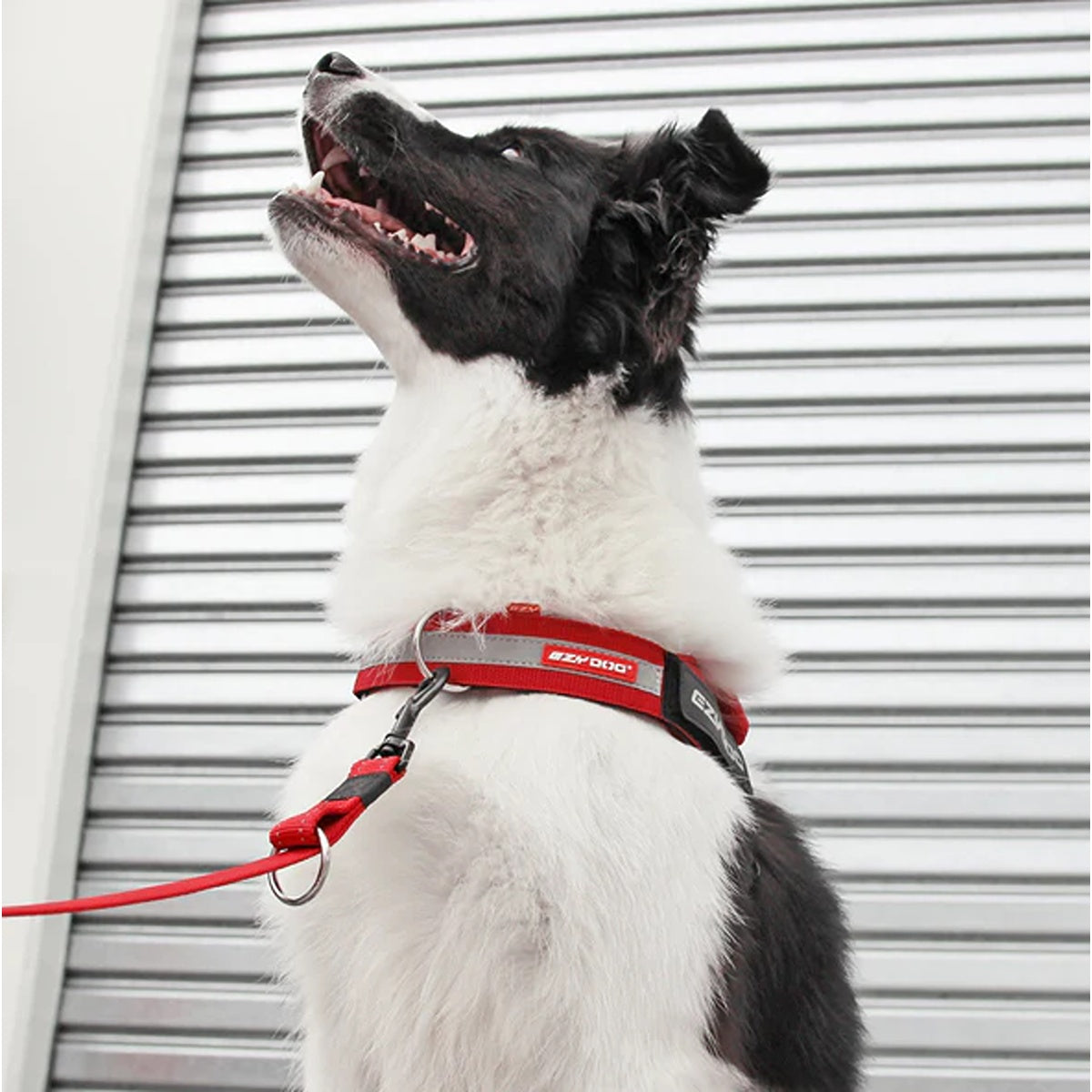 EzyDog UpFront D-Ring Harness Attachment