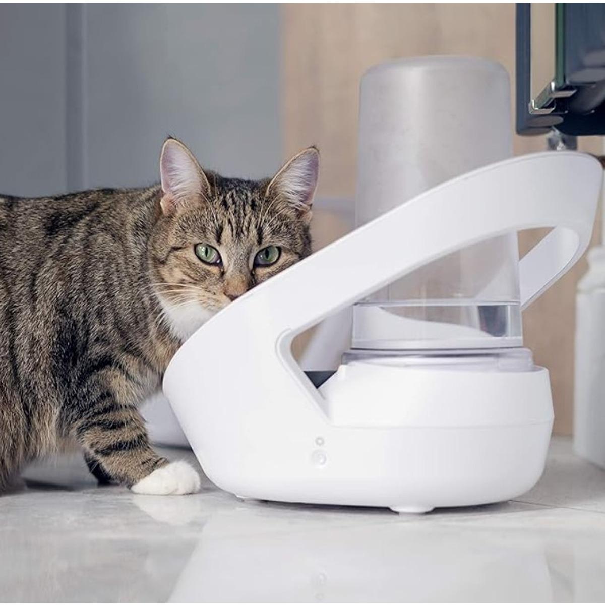 Felaqua Connect Cat Water Bowl