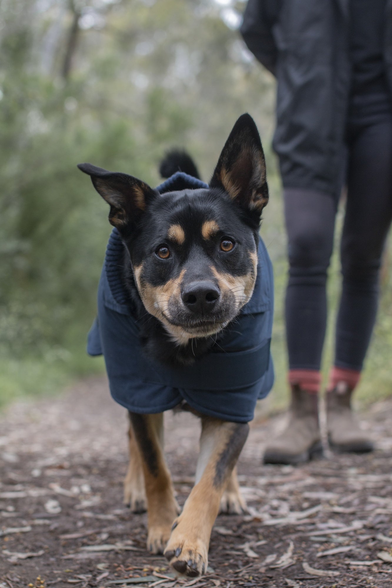 Ruff n Rugged Suedette Trench Coat Cadet Navy