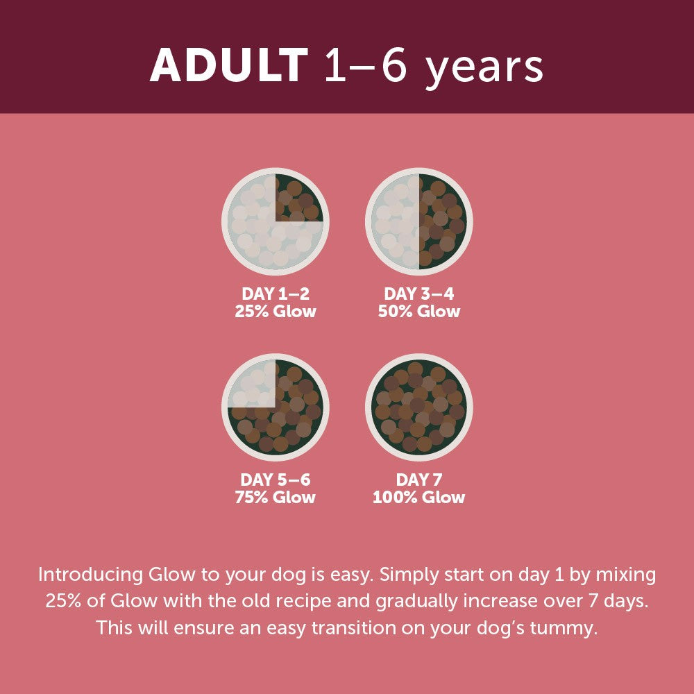 Glow Adult Lamb Dry Dog Food