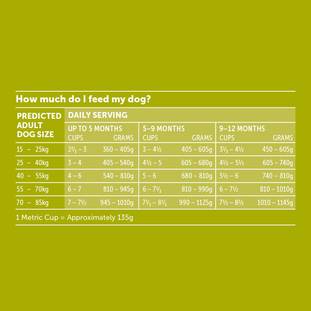 Glow Puppy Large Breed Chicken Dry Dog Food