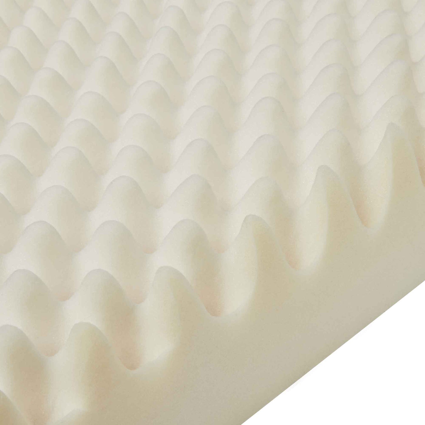 Buddy & Belle Orthopedic Mattress with Pillow Top