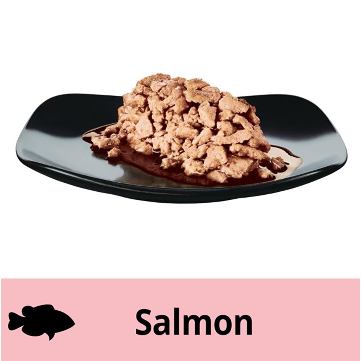 Dine Perfect Portions Cuts in Gravy Gourmet Salmon Wet Cat Food