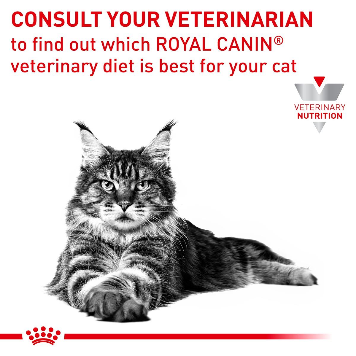 Royal Canin VET Hypoallergenic Dry Cat Food
