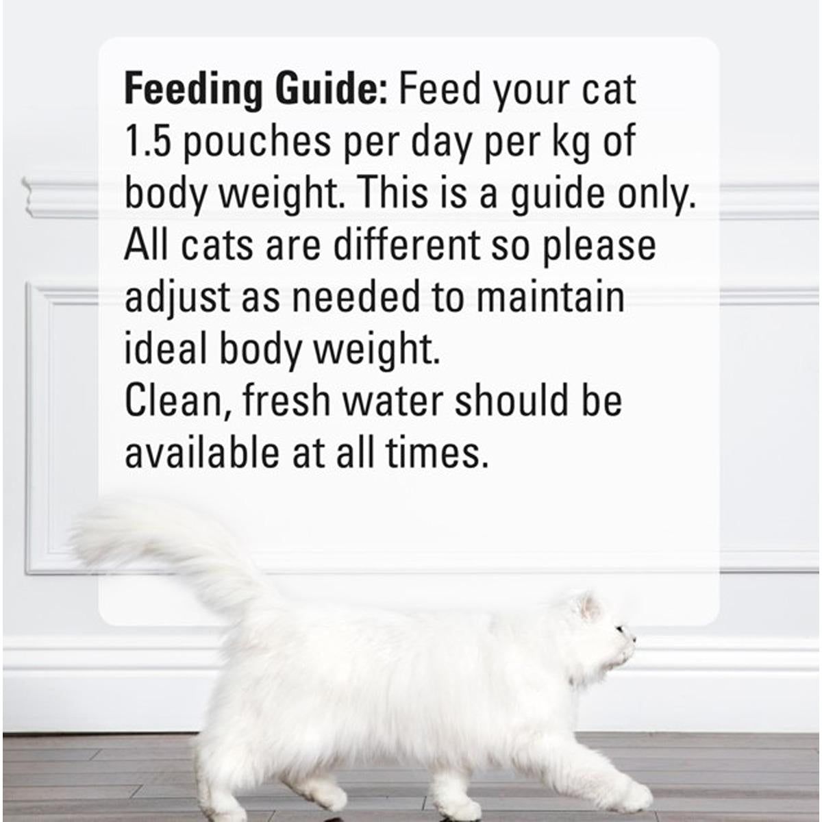 Fancy Feast Petite Delights Tuna Salmon Cod Wet Cat Food Multipack