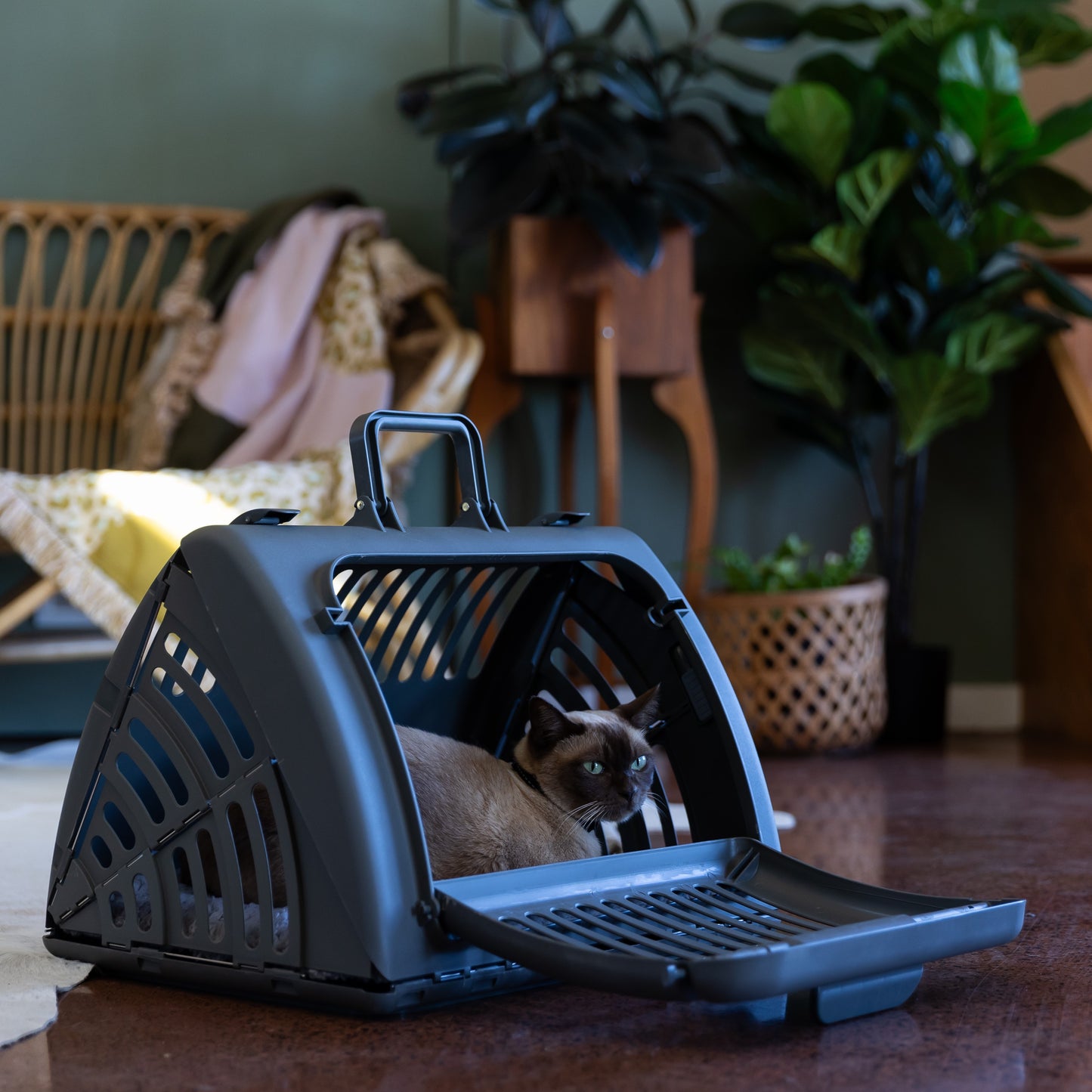 Lexi & Me Collapsible Cat Carrier Charcoal