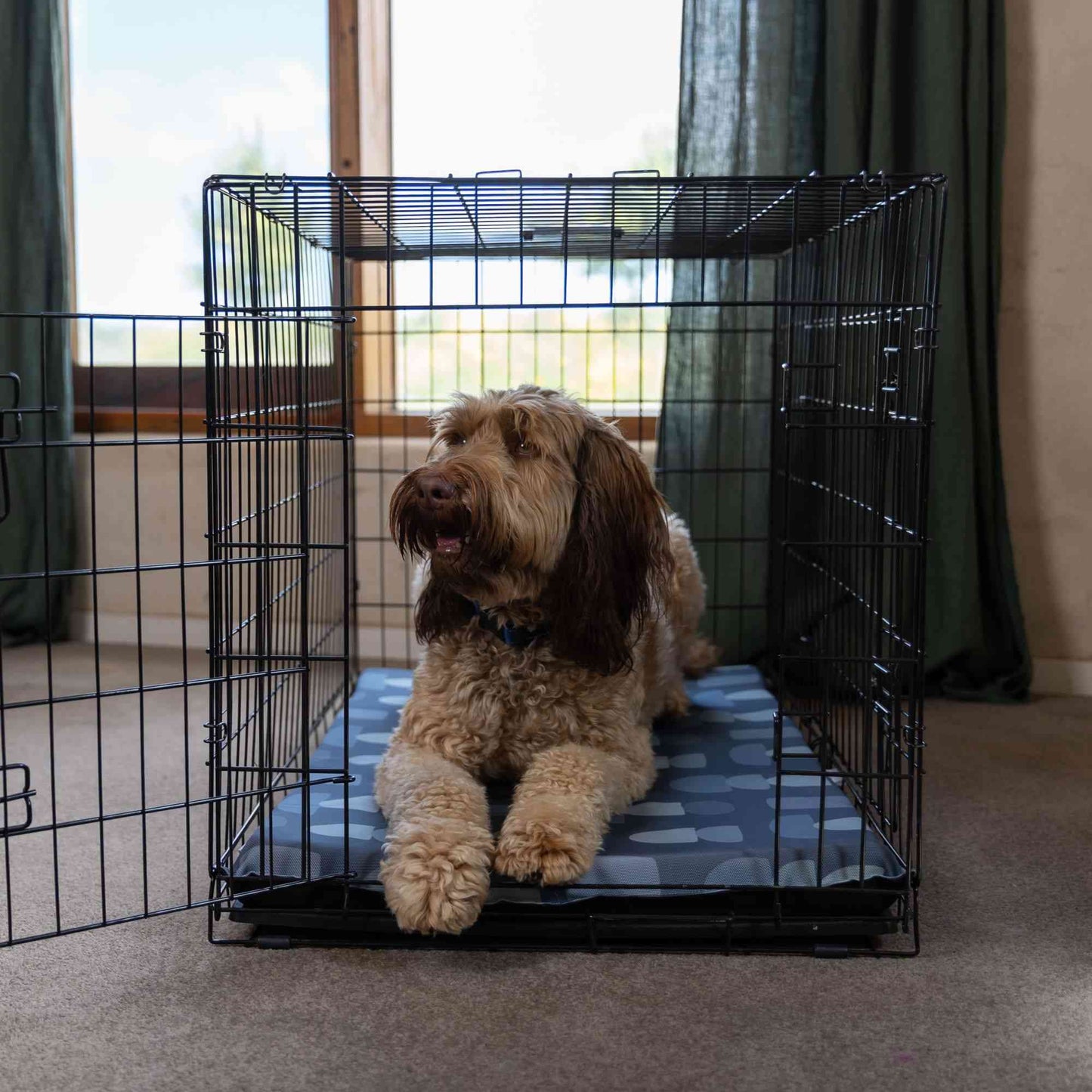 Lexi & Me Kennel/Crate Mat Steel Blue Geo