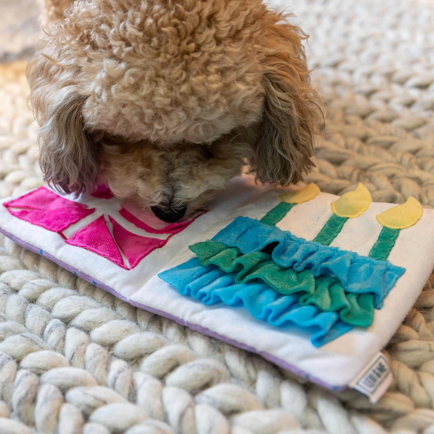 Lexi & Me Birthday Snuffle Mat