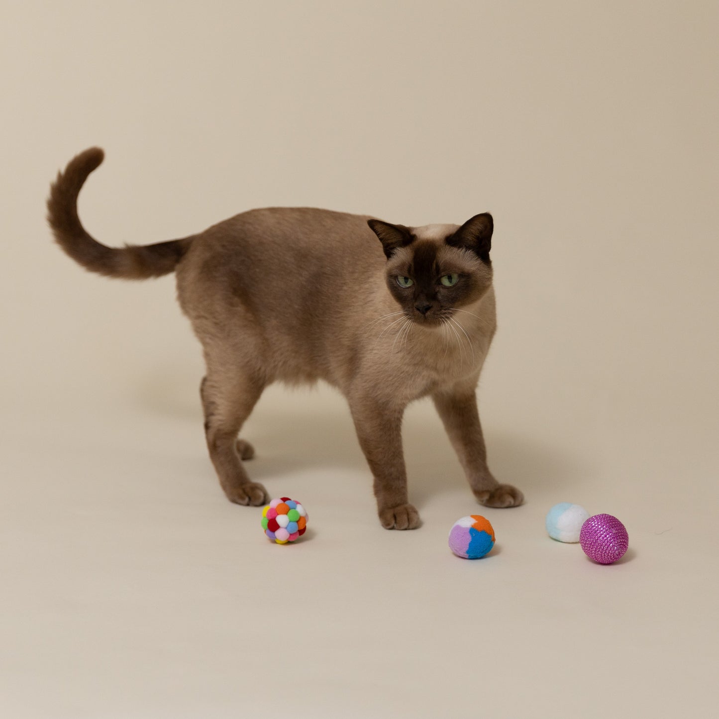 Lexi & Me Cat Multi Colour Balls