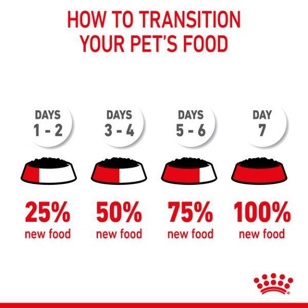 Royal Canin Appetite Control Care Jelly Wet Cat Food