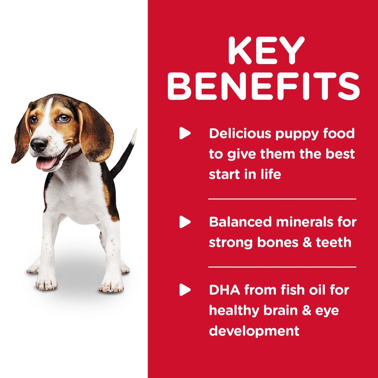 Hill's Science Diet Puppy with Chicken & Barley Wet Dog Food