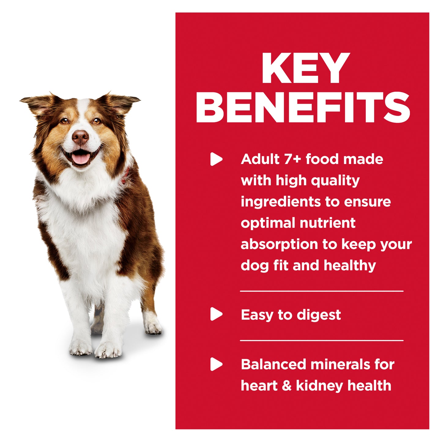 Hill's Science Diet Mature Adult 7+ with Chicken & Barley Wet Dog Food
