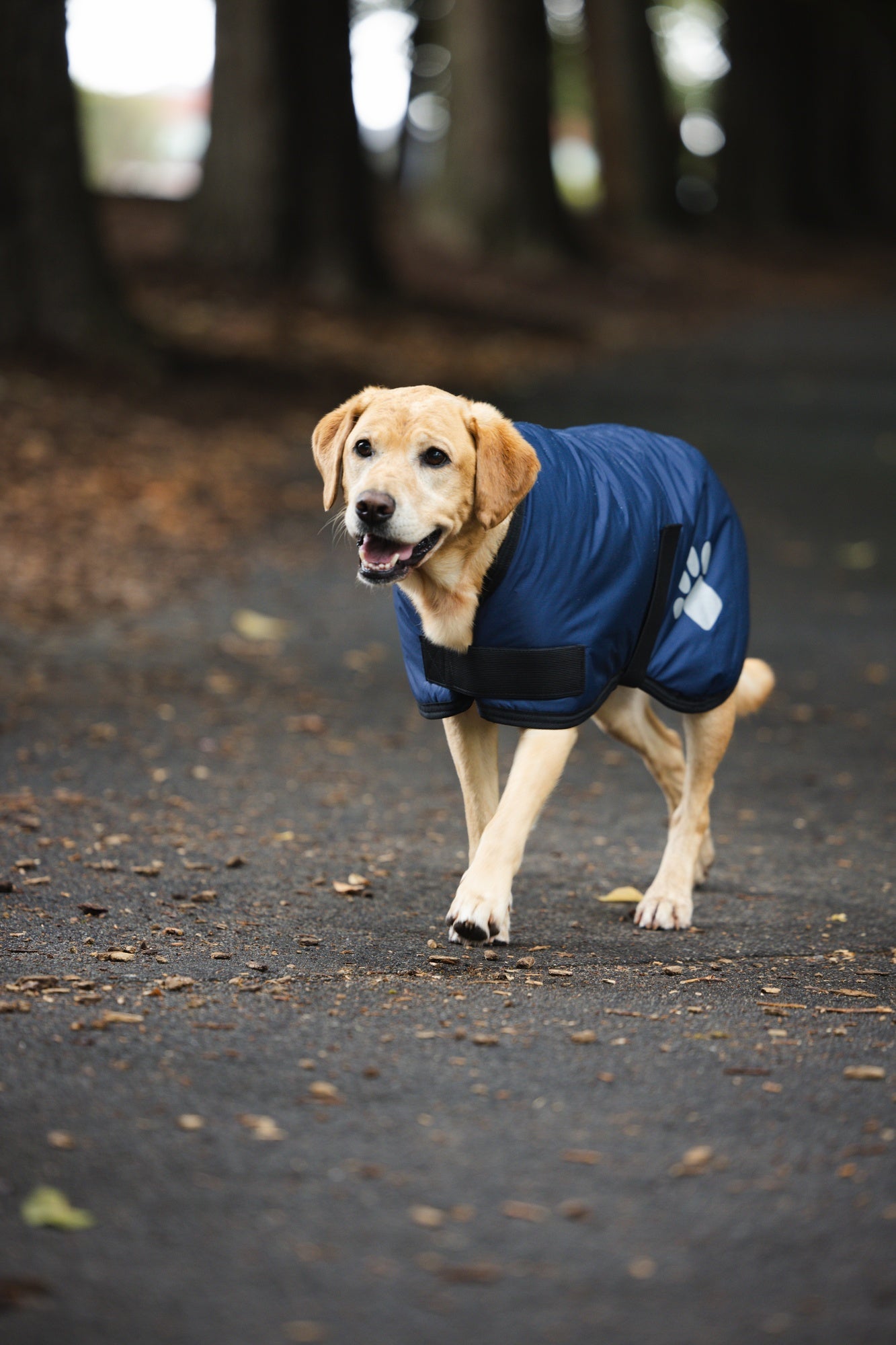 Ruff n Rugged Utility Coat Navy