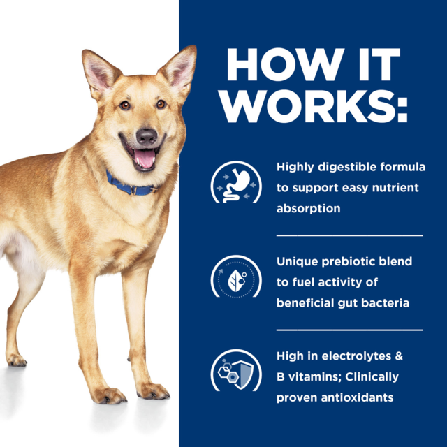 Hill's Prescription Diet i/d Digestive Care with Turkey Wet Dog Food
