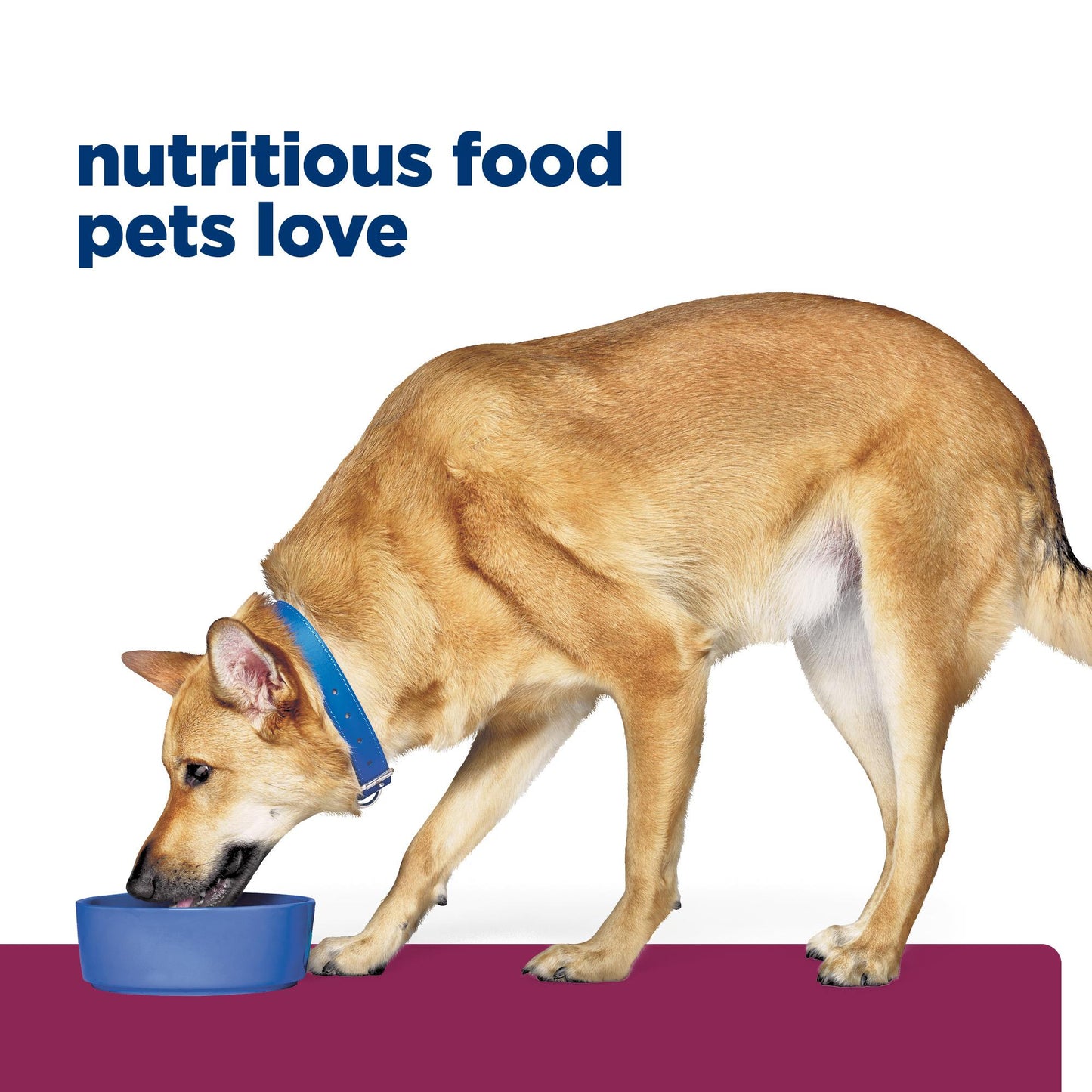 Hill's Prescription Diet i/d Digestive Care with Turkey Wet Dog Food
