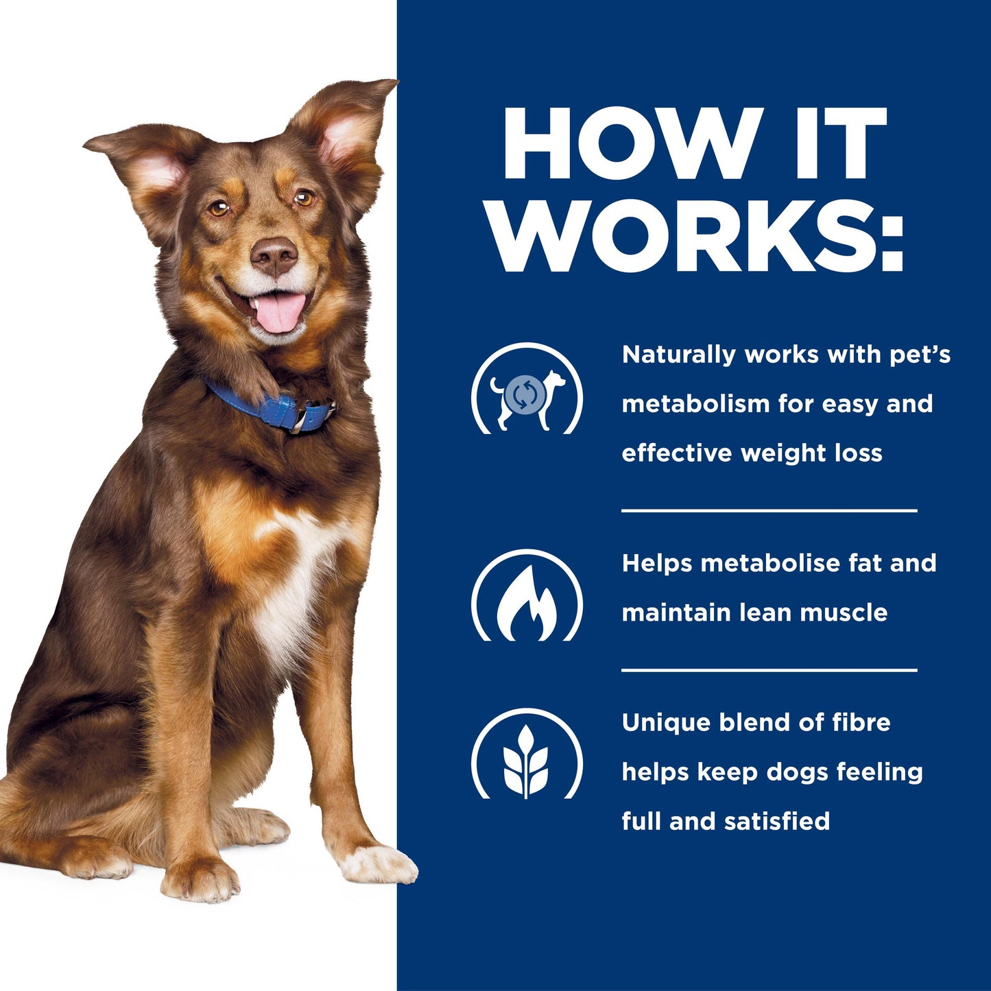 Hill's Prescription Diet Metabolic Weight Management Chicken Wet Dog Food