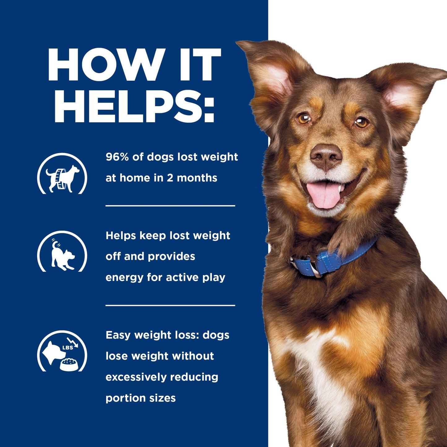 Hill's Prescription Diet Metabolic Weight Management Chicken Wet Dog Food