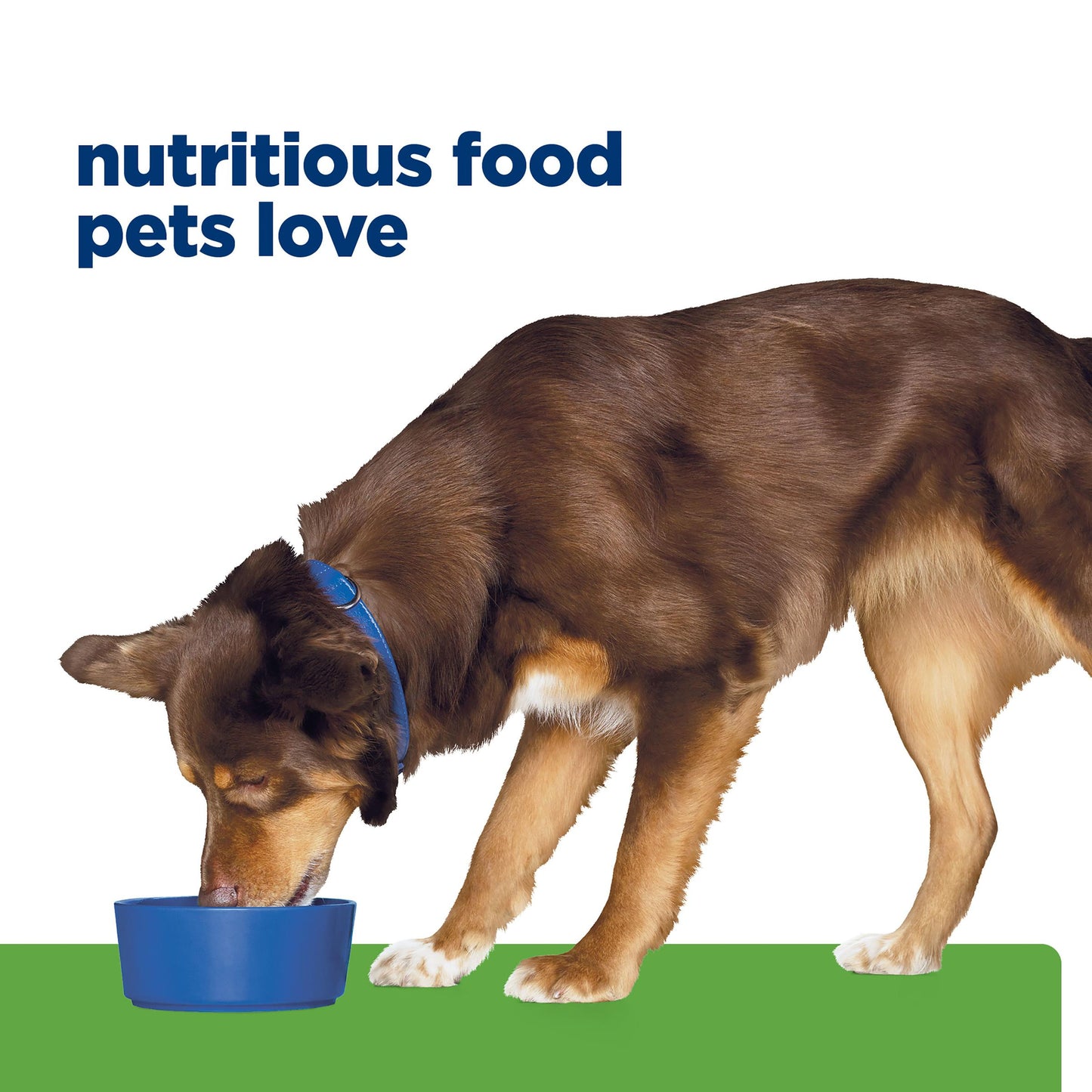 Hill's Prescription Diet Metabolic Weight Management Chicken Wet Dog Food