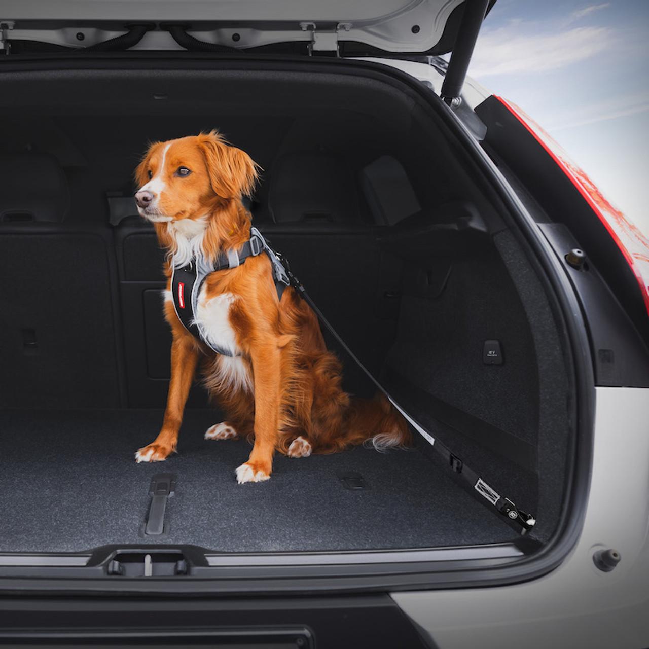 Ezydog Click ISOFIX Car Attachment