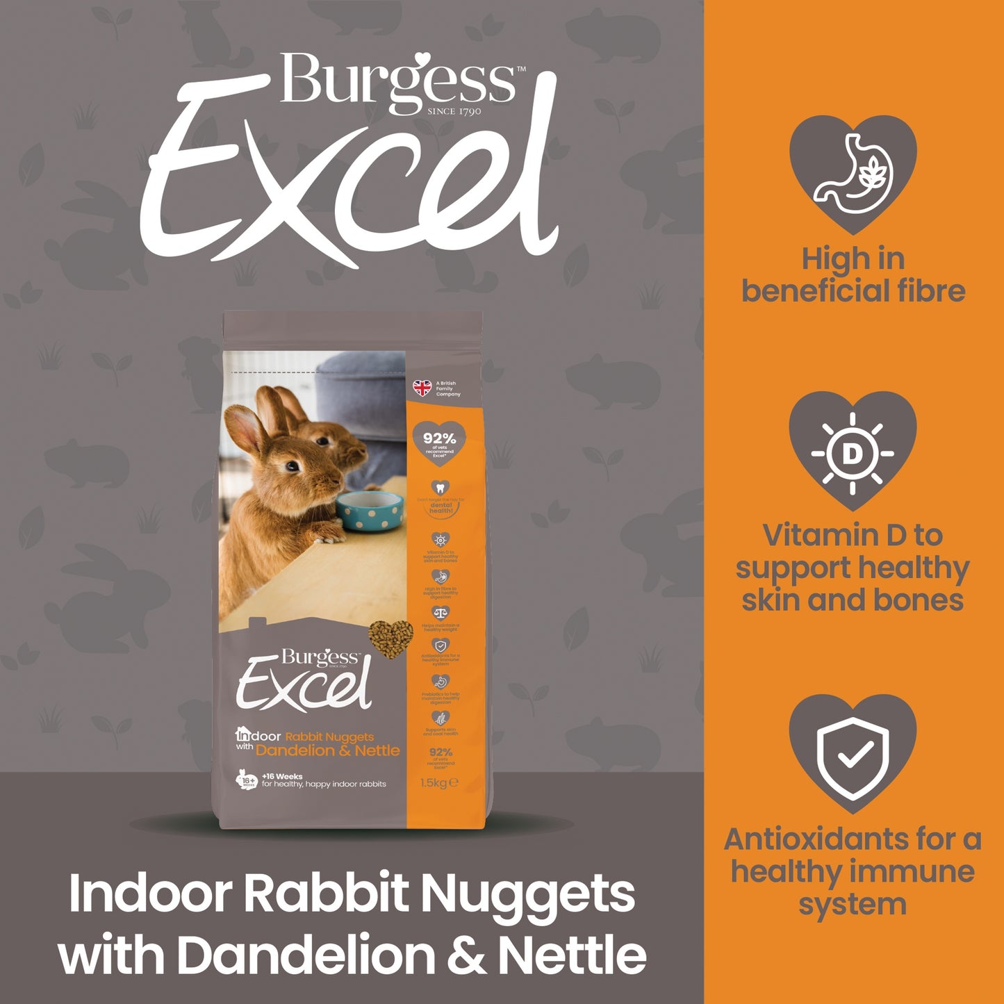Burgess Excel Indoor Rabbit Nuggets