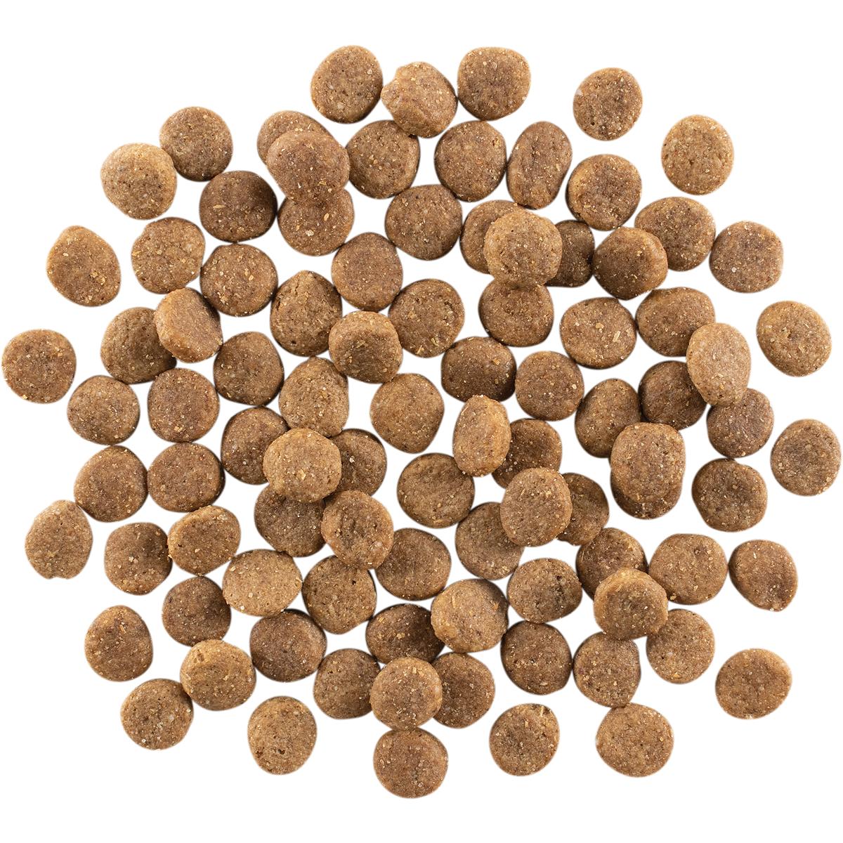 Go! Solutions SKIN + COAT Care Chicken Dry Dog Food