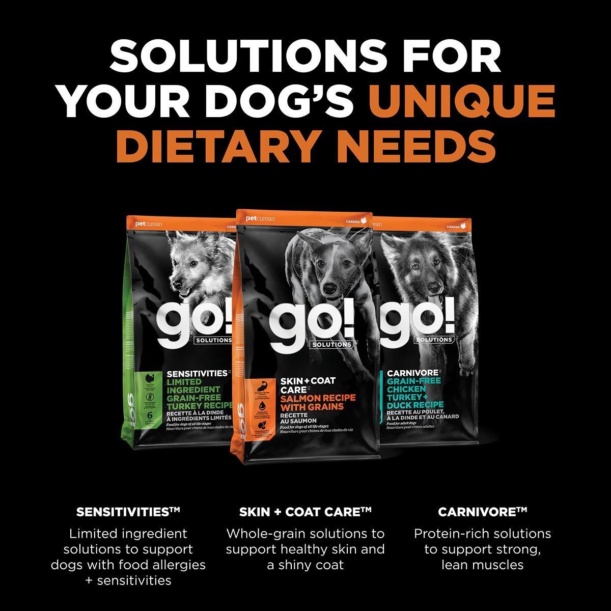 Go! Solutions SKIN + COAT CARE Salmon Dry Dog Food