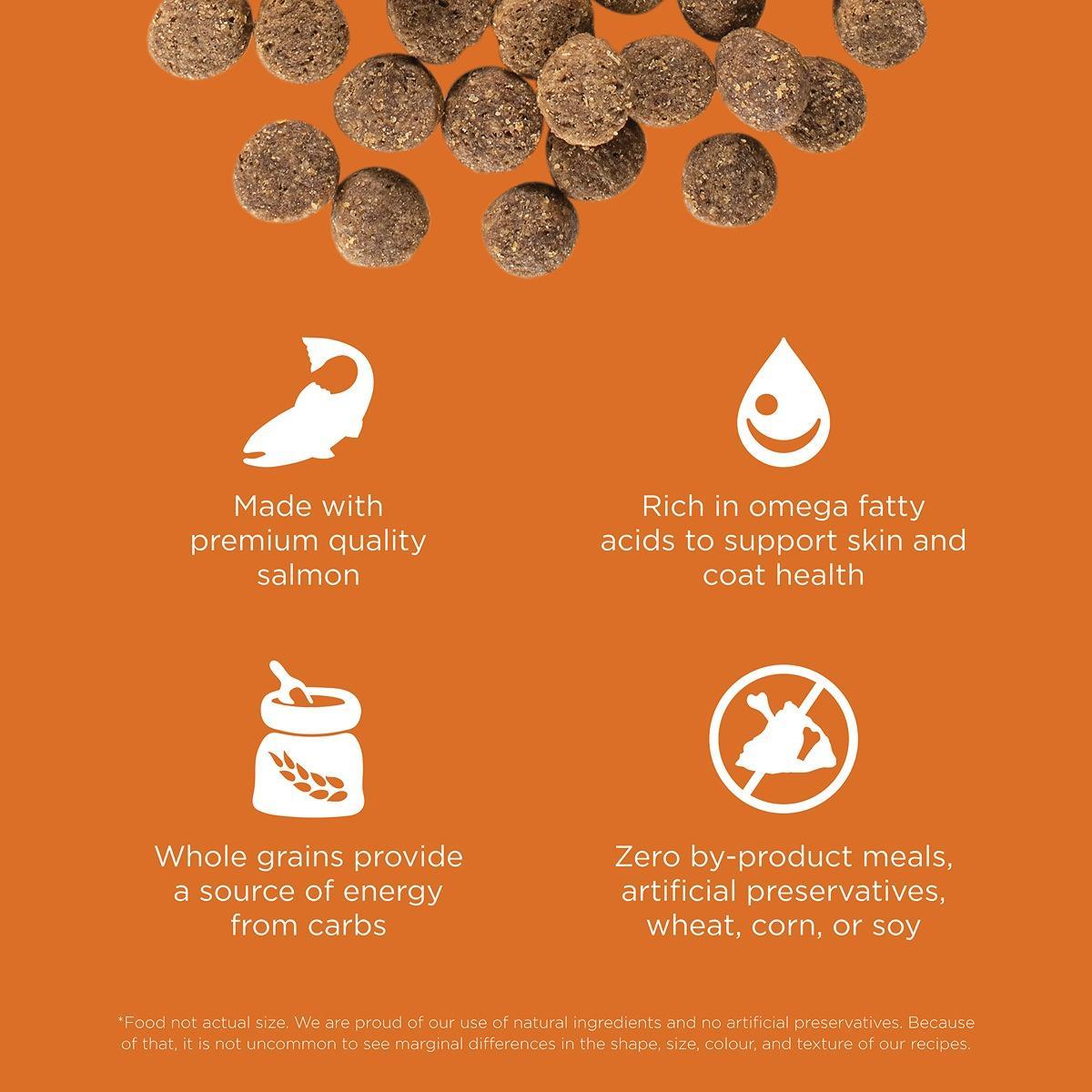 Go! Solutions SKIN + COAT CARE Salmon Dry Dog Food