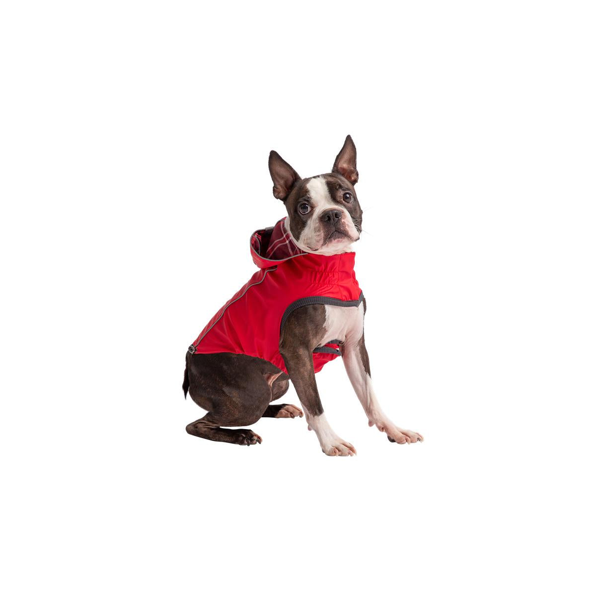 GF Pet Reversible Elasto-Fit Raincoat