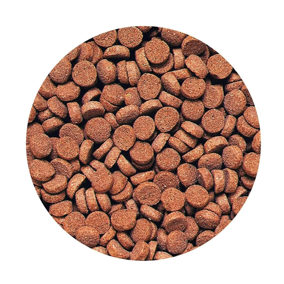 Hikari Tropical Carnivore Sinking Pellet Fish Food