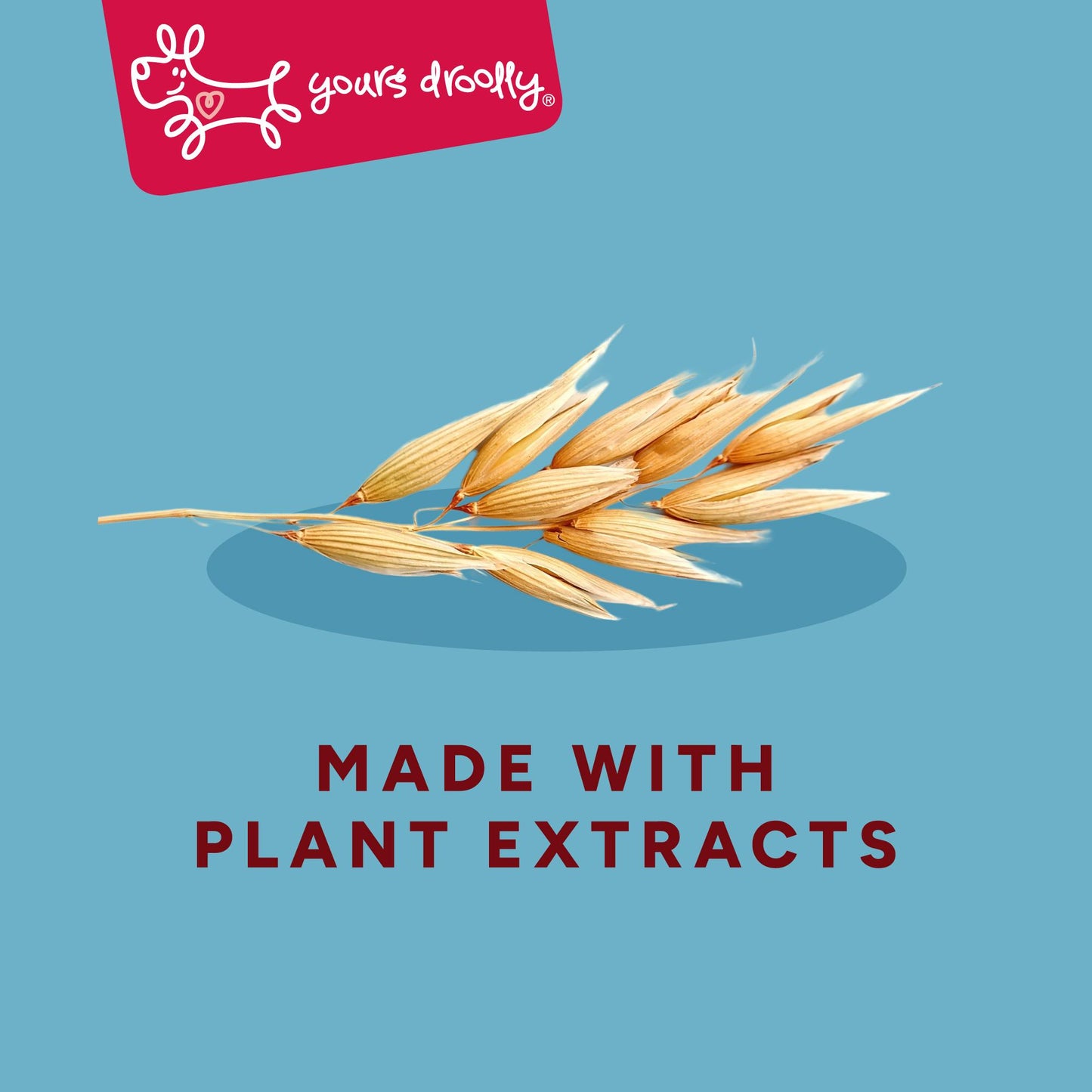 Yours Droolly Gentle Clean Dog Shampoo Oatmeal