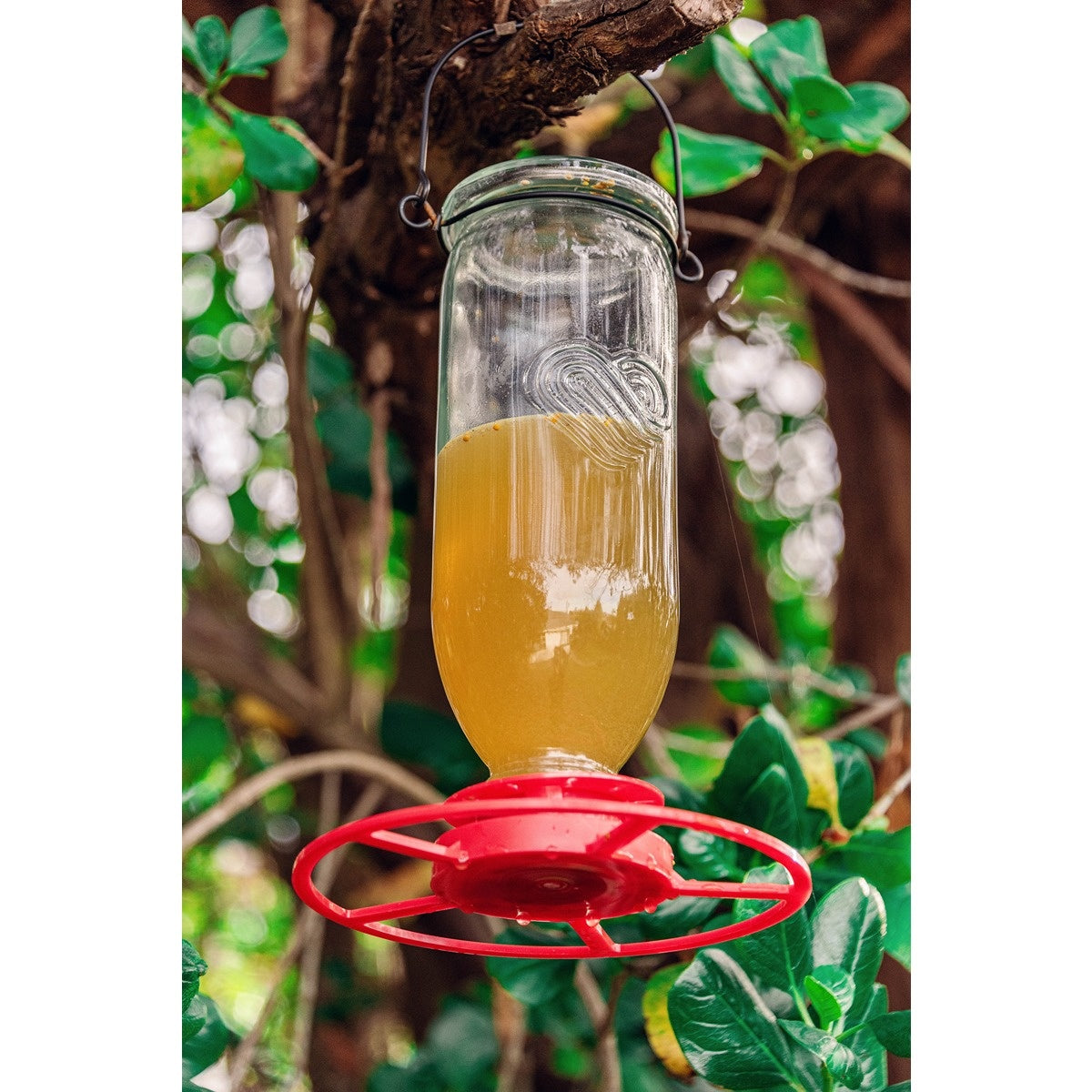 Topflite Glass Nectar Feeder