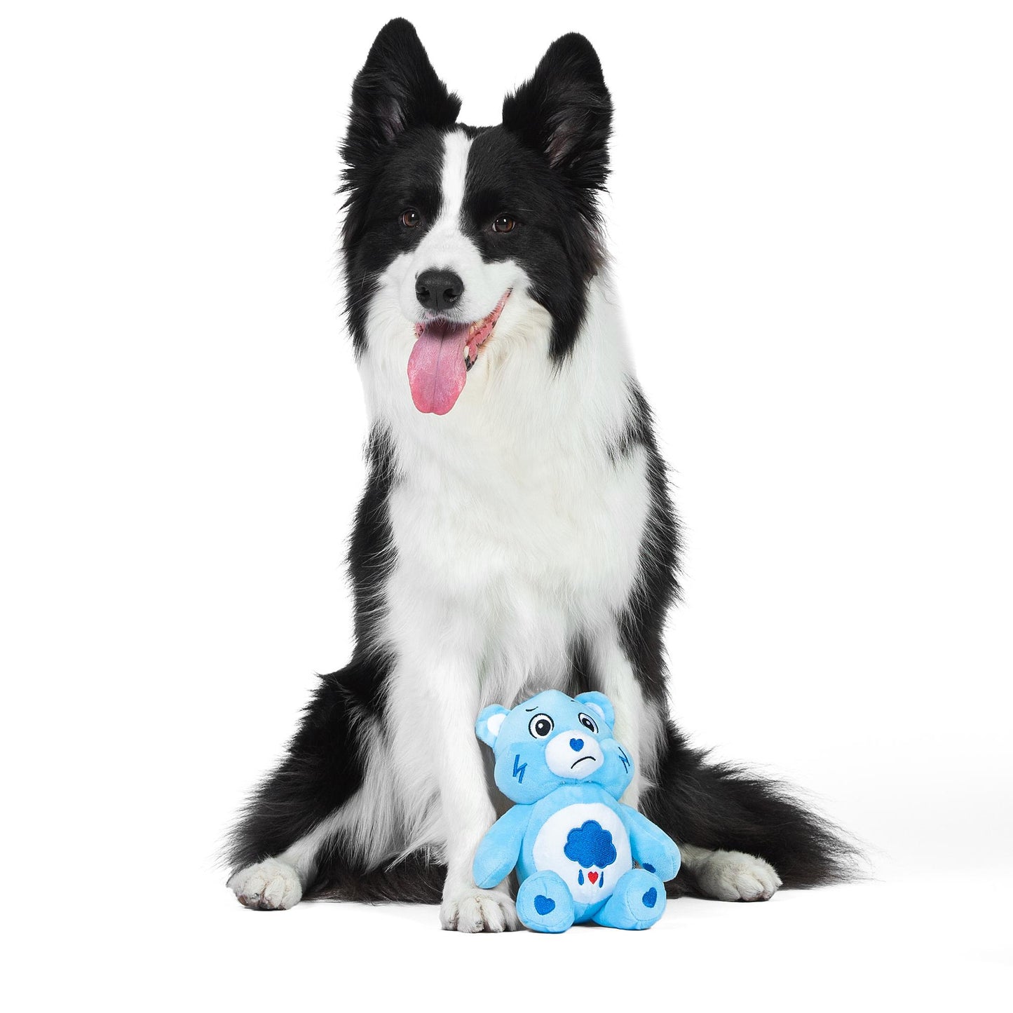 Grumpy Bear Plush Squeaker Toy