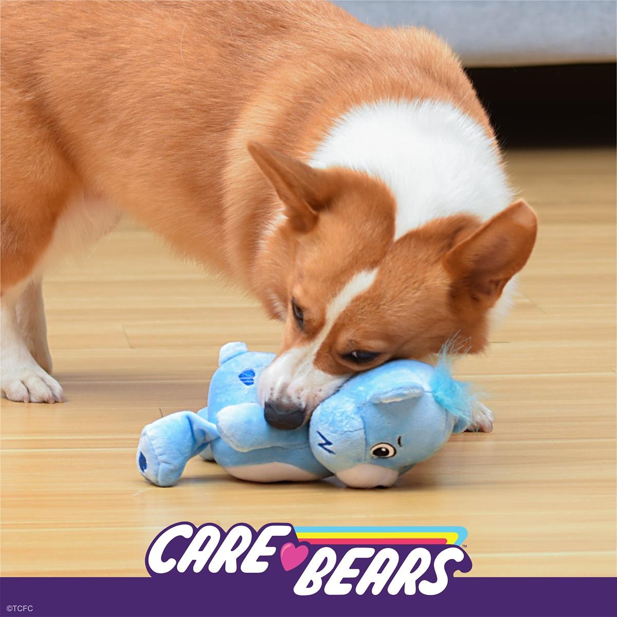 Grumpy Bear Plush Squeaker Toy