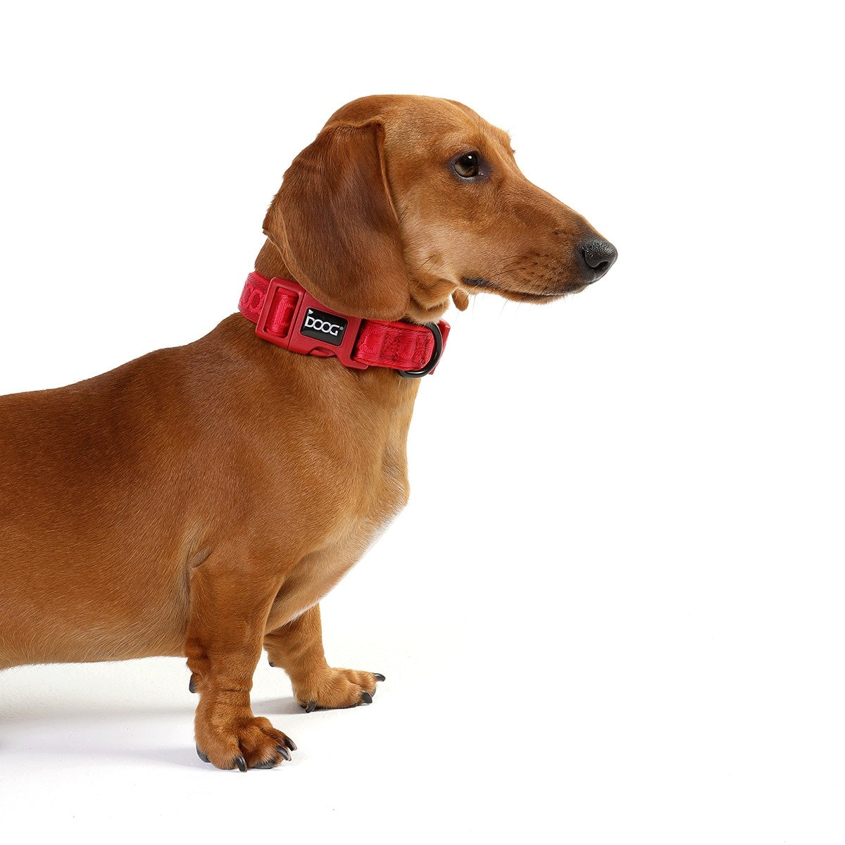 DOOG Neosport Dog Collar - Red