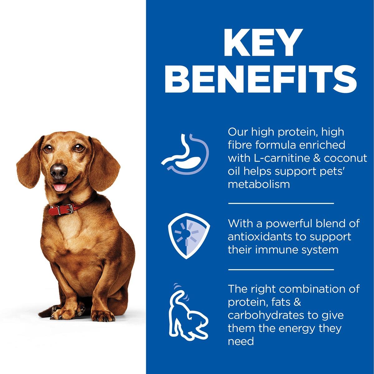 Hill's Science Diet Perfect Weight Small & Mini with Turkey Canned Wet Dog Food