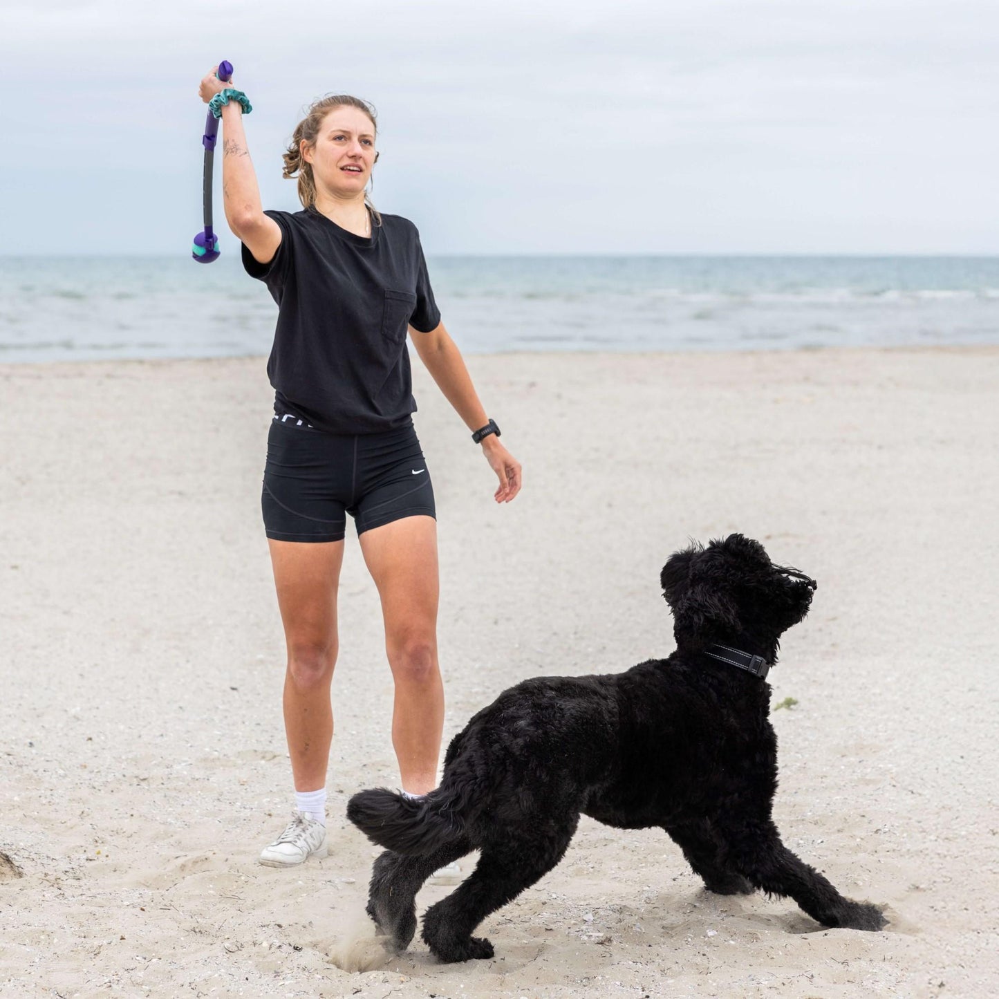 Go Get Retractable Ball Thrower