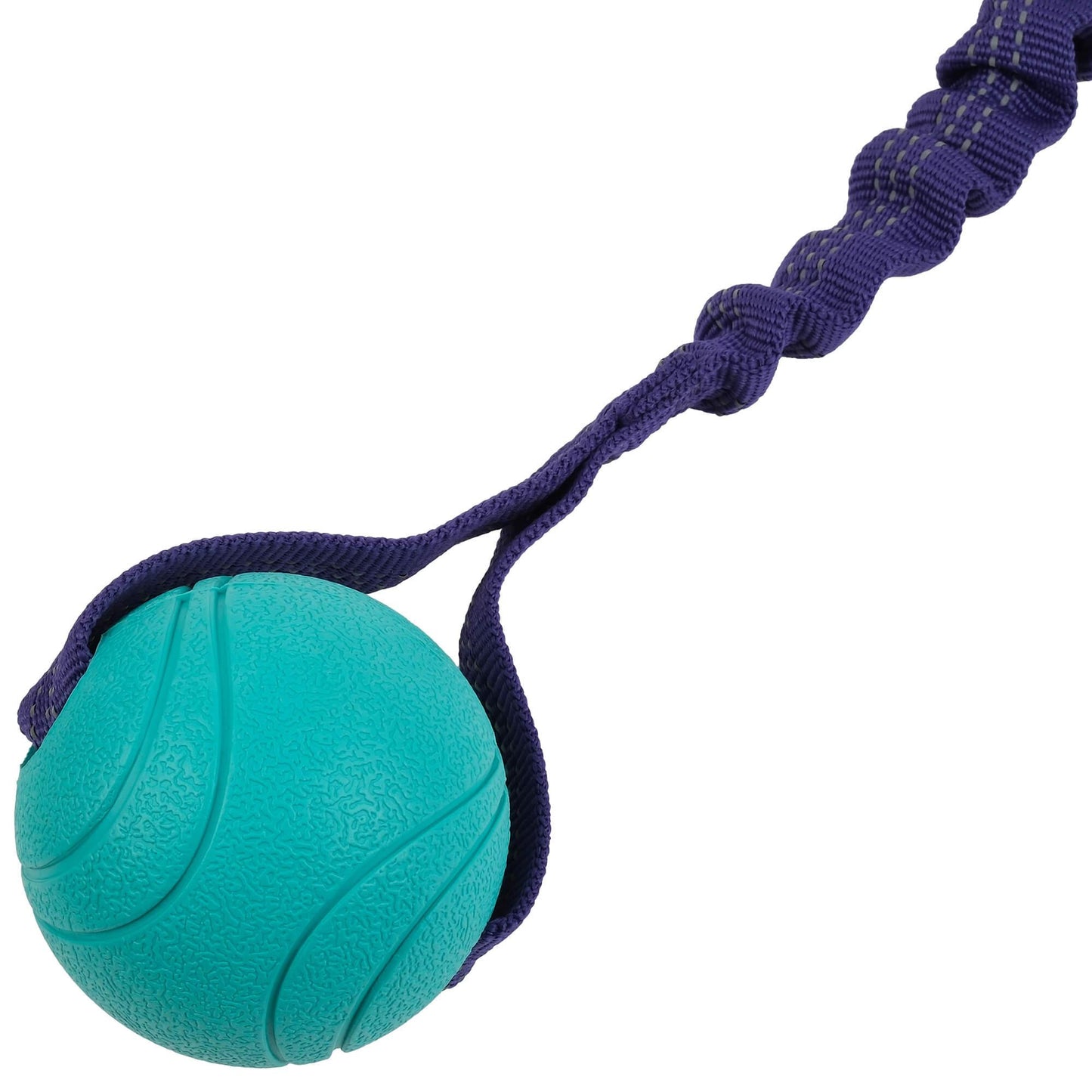 Go Get Bungee Tug Dog Toy