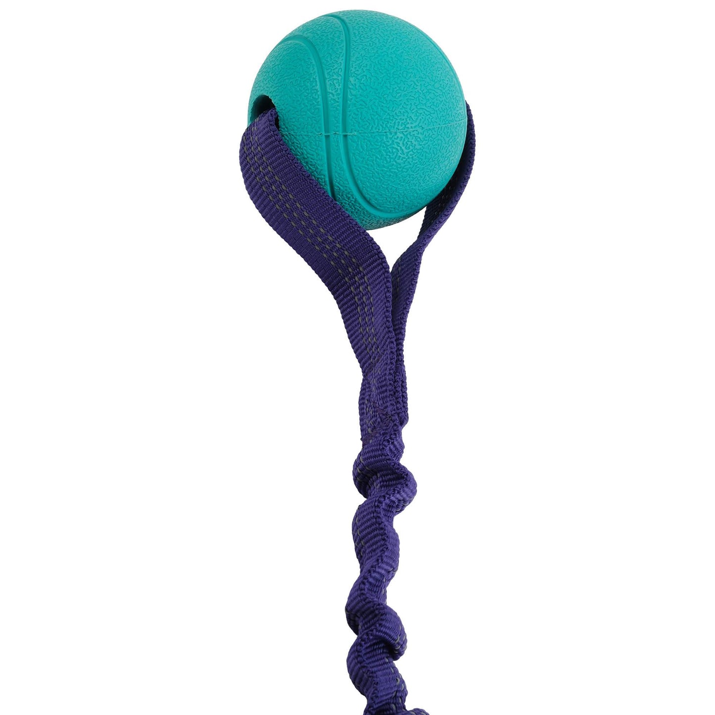 Go Get Bungee Tug Dog Toy