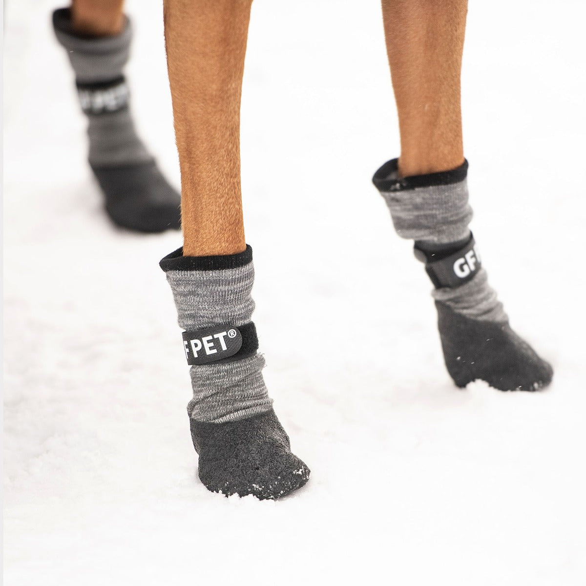 GF Pet All Terrain Dog Boots