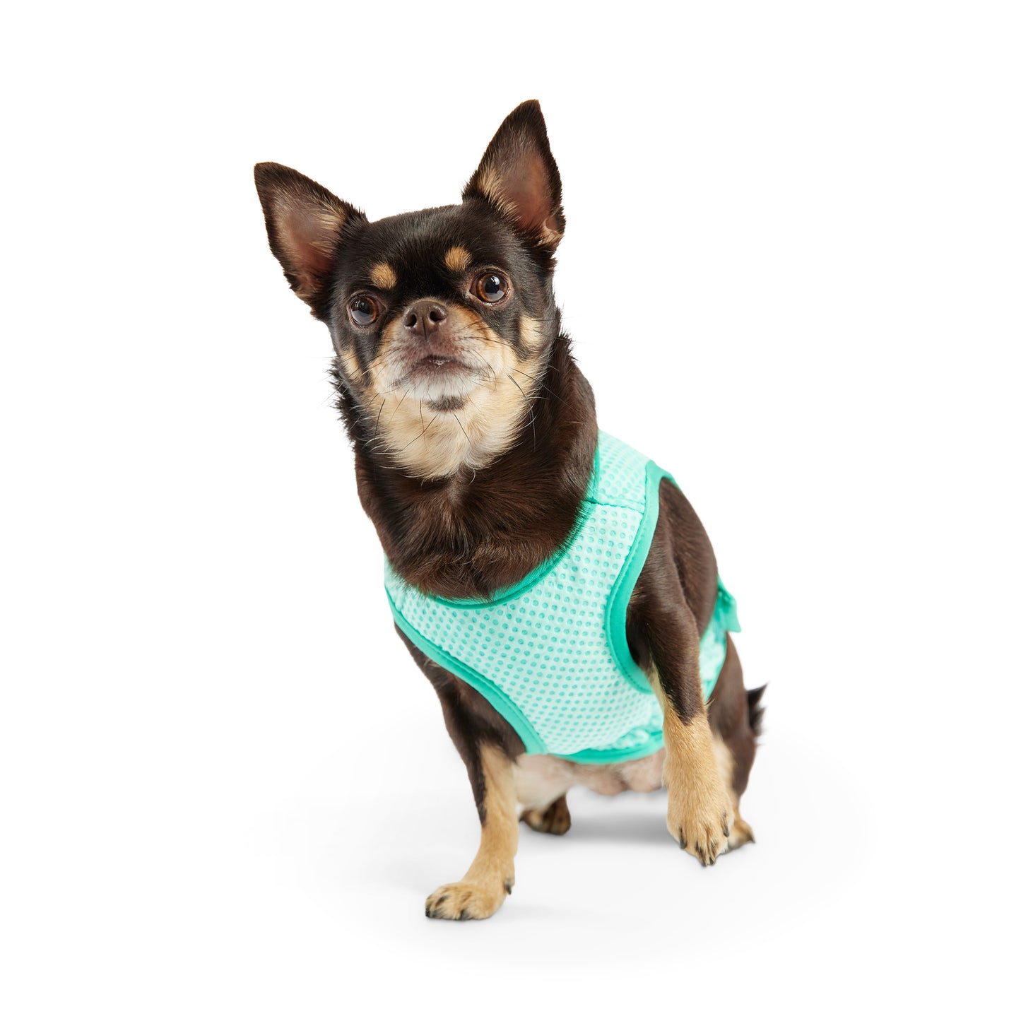 GF Pet Elasto-Fit Cooling Ice Vest