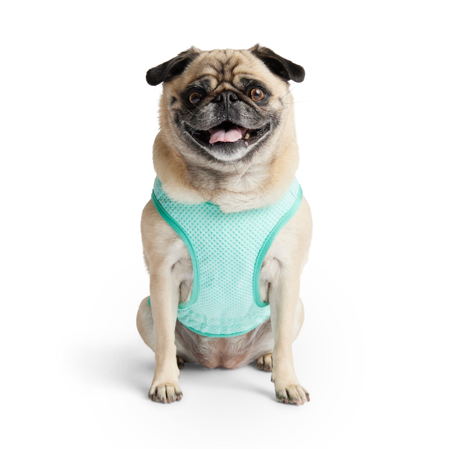 GF Pet Elasto-Fit Cooling Ice Vest