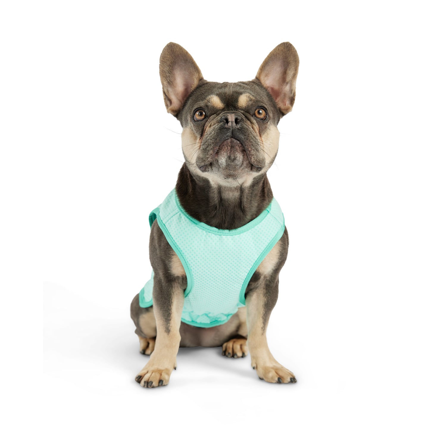 GF Pet Elasto-Fit Cooling Ice Vest