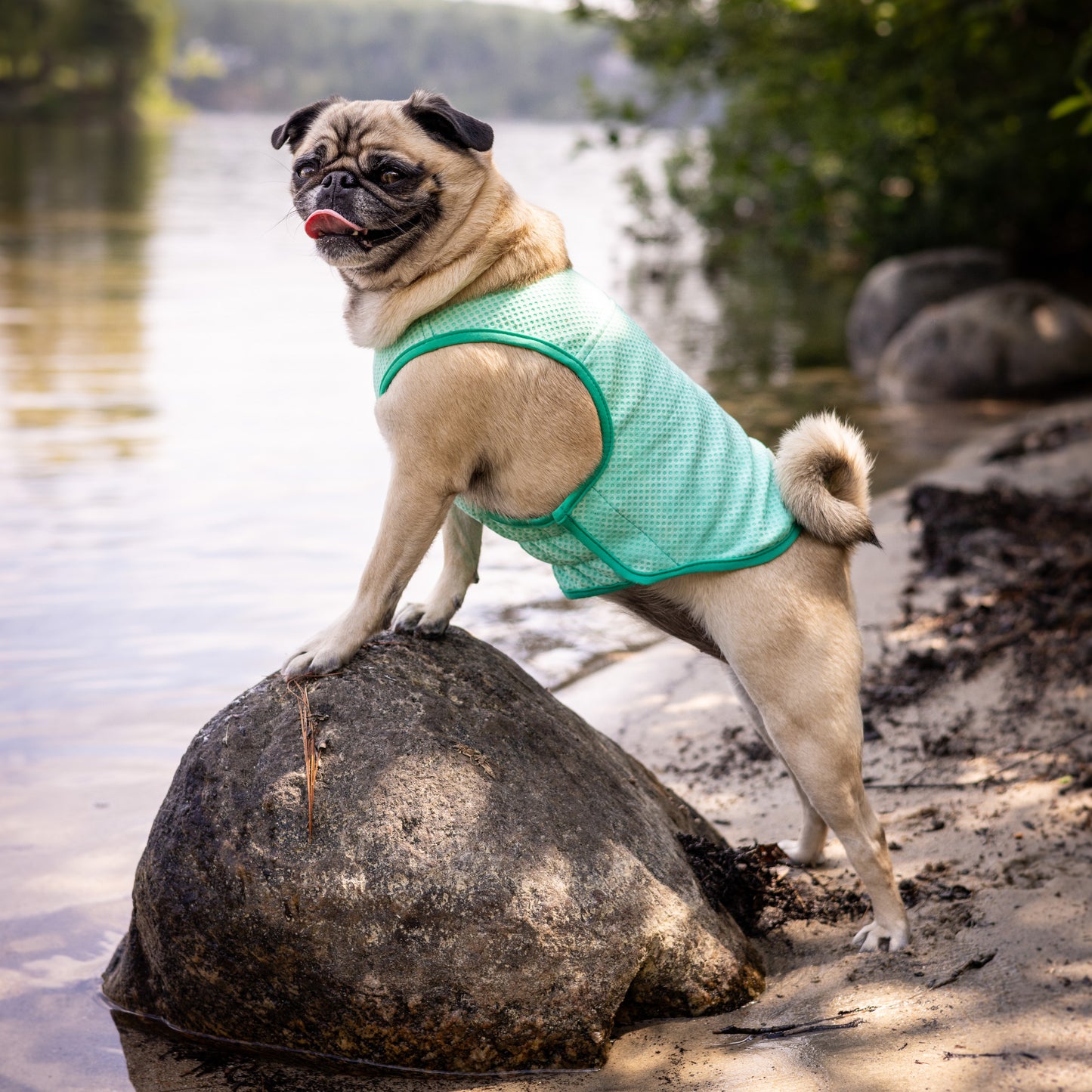 GF Pet Elasto-Fit Cooling Ice Vest