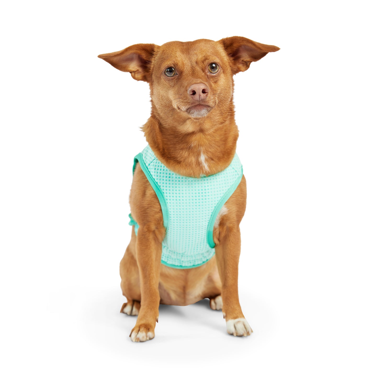 GF Pet Elasto-Fit Cooling Ice Vest